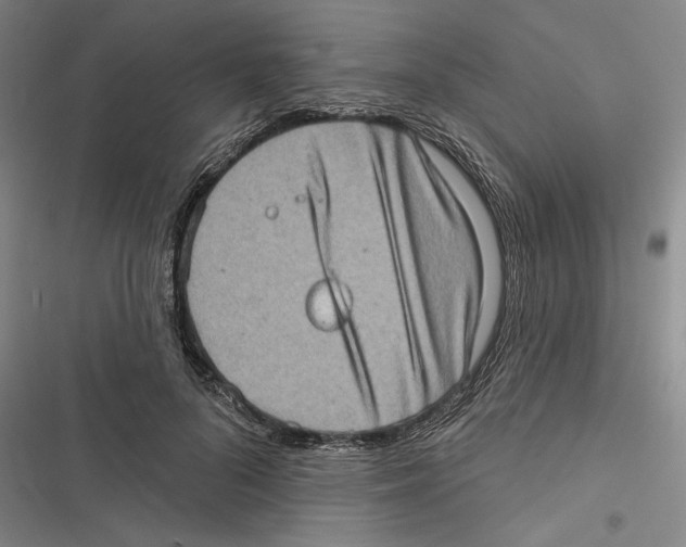X0000116770696201001141451