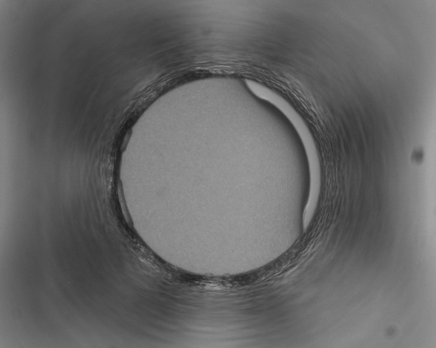 X0000116770697201001141451