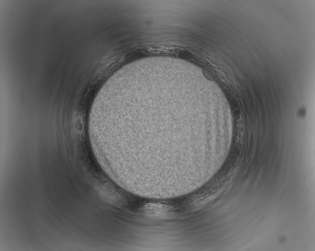 X0000116770699201001141451