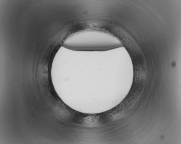 X0000116770700201001141451