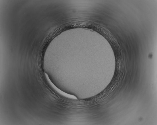 X0000116770701201001141451