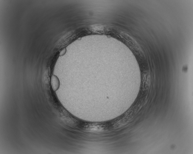 X0000116770702201001141451
