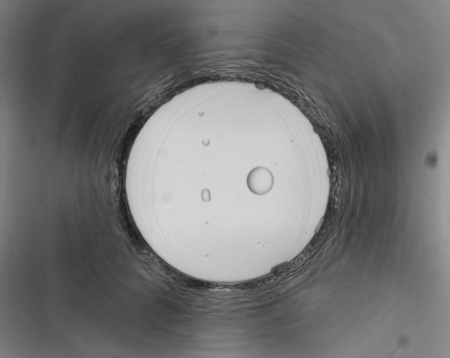 X0000116770704201001141451
