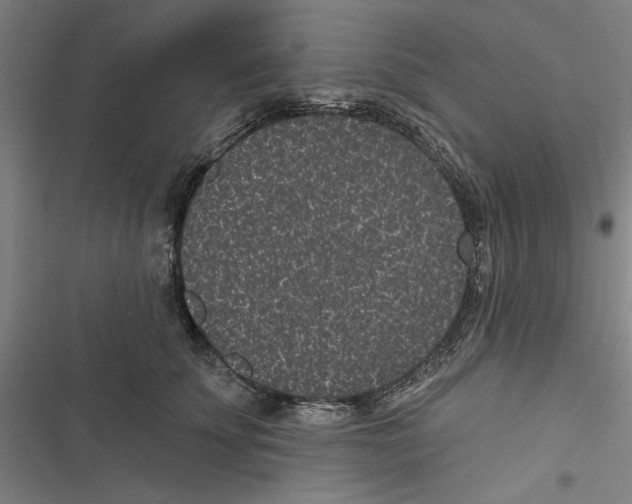 X0000116770707201001141451
