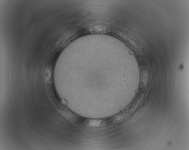 X0000116770709201001141451