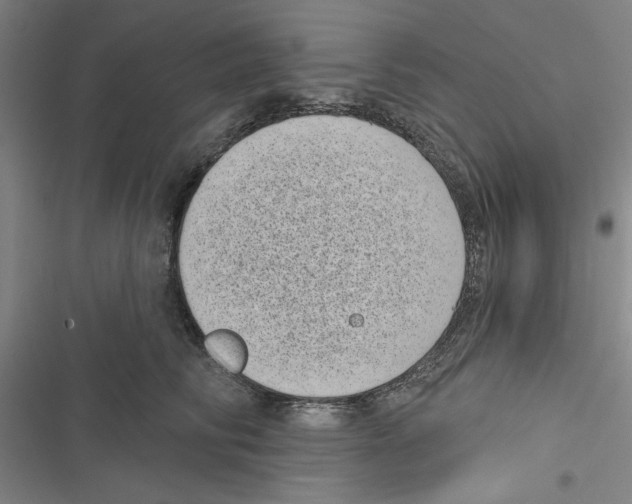 X0000116770710201001141451