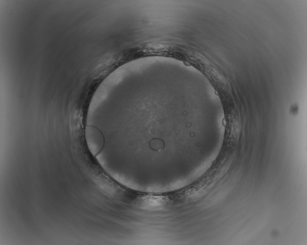 X0000116770711201001141451