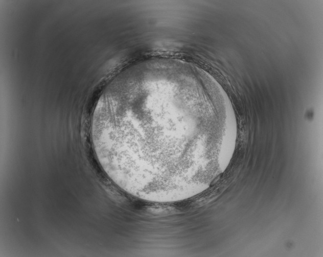 X0000116770712201001141451