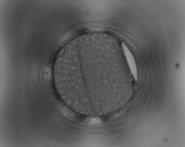 X0000116770715201001141451