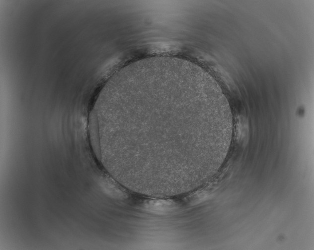X0000116770716201001141451