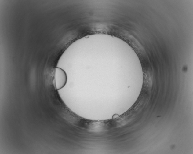 X0000116770717201001141451