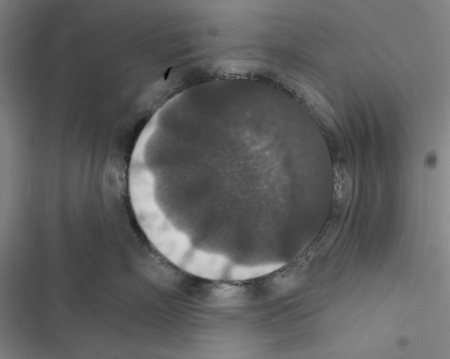 X0000116770718201001141450