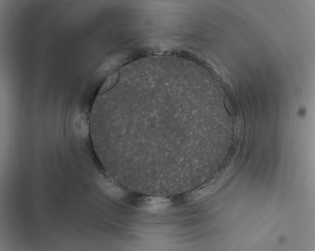 X0000116770719201001141450