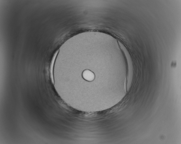 X0000116770720201001141450