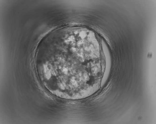 X0000116770721201001141450