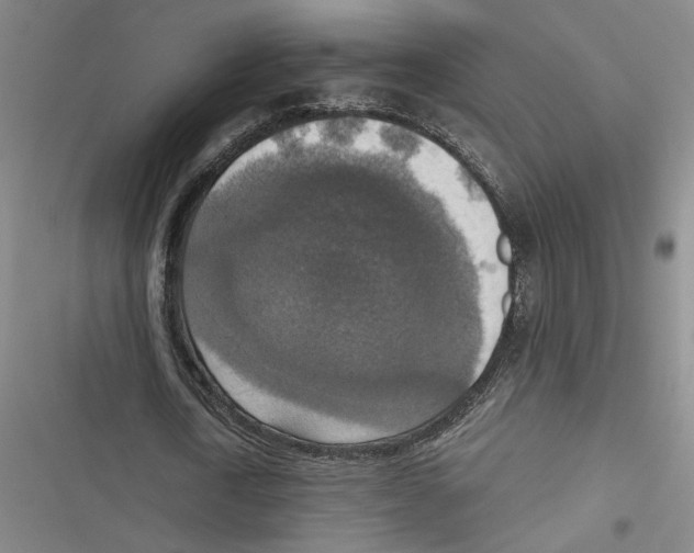 X0000116770722201001141450