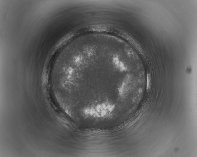 X0000116770723201001141450