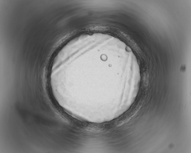 X0000116770725201001141450