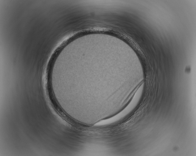 X0000116770726201001141450