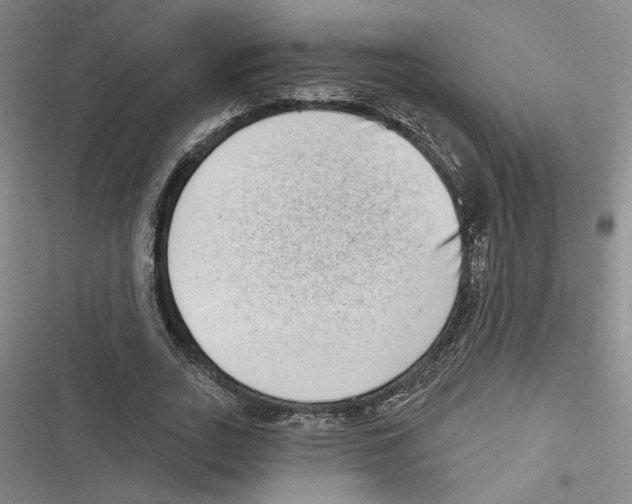 X0000116770727201001141450