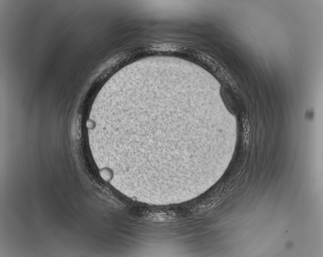 X0000116770731201001141450
