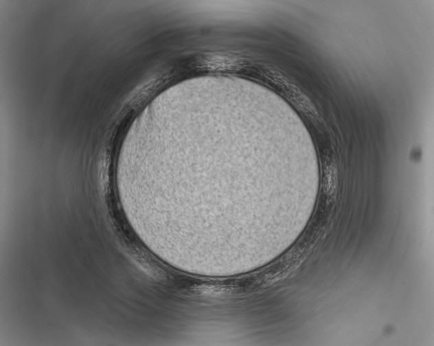 X0000116770733201001141450