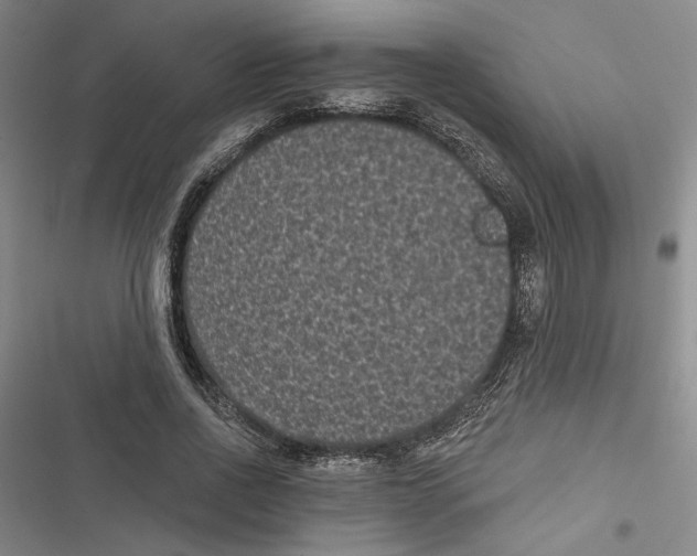 X0000116770734201001141450