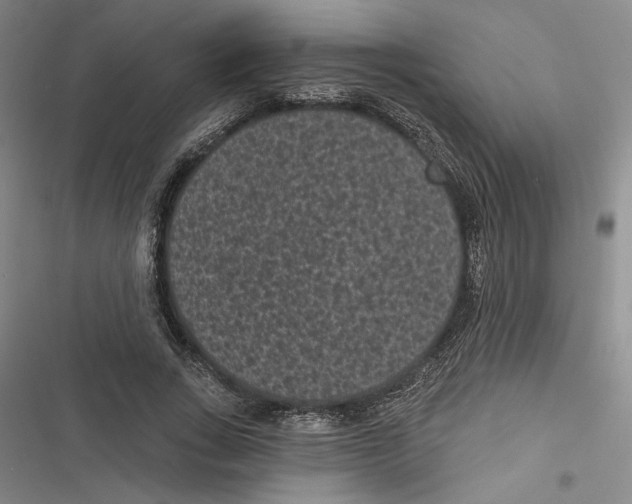 X0000116770735201001141450