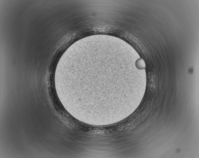 X0000116770738201001141450