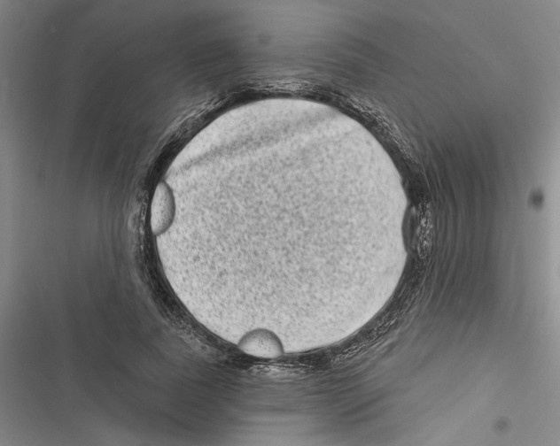 X0000116770739201001141450