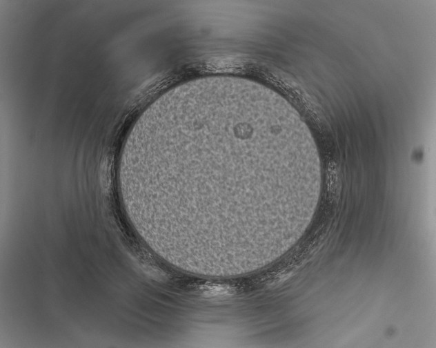 X0000116770741201001141450