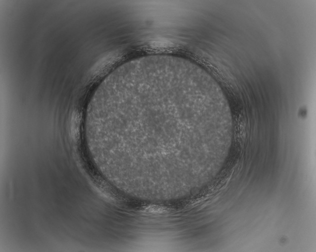 X0000116770742201001141450
