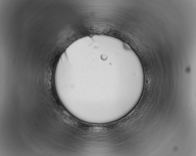 X0000116770745201001141450