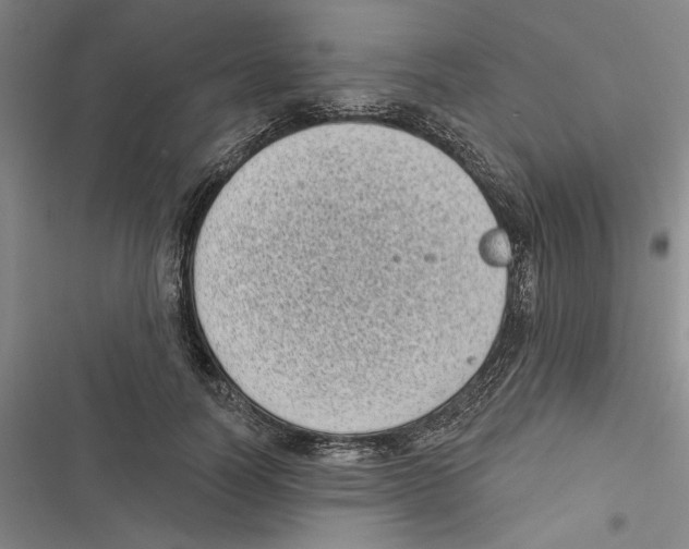 X0000116770746201001141450