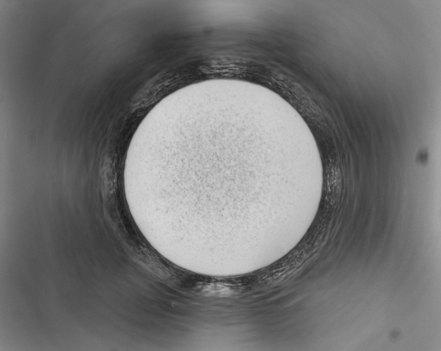 X0000116770751201001141450