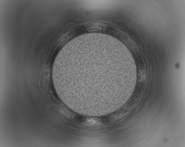 X0000116770753201001141450