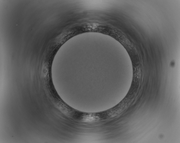 X0000116770754201001141450