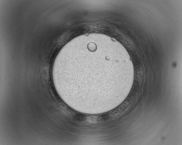 X0000116770757201001141450
