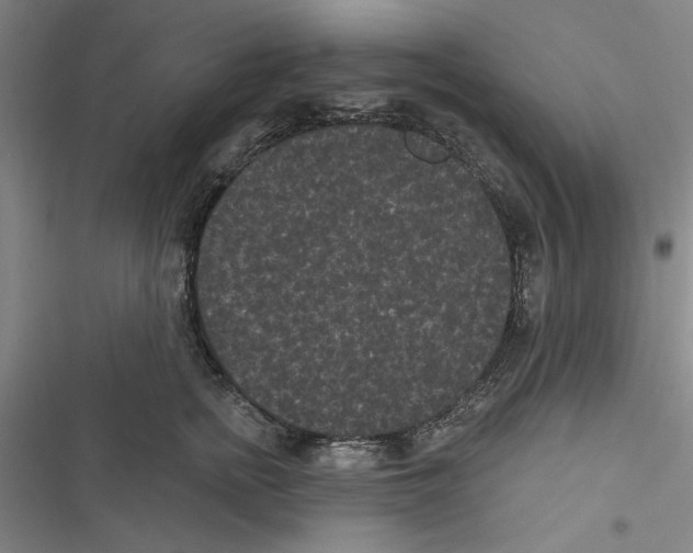 X0000116770758201001141450