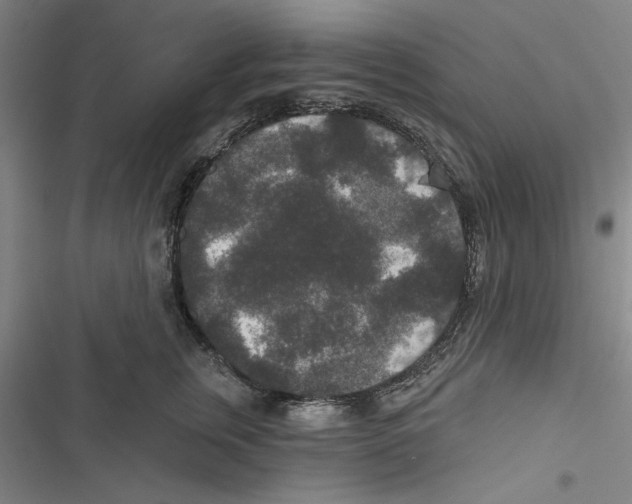 X0000116770759201001141450