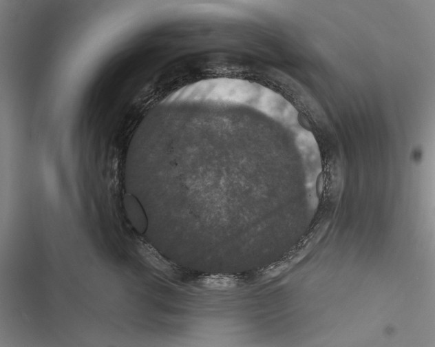 X0000116770762201001141450