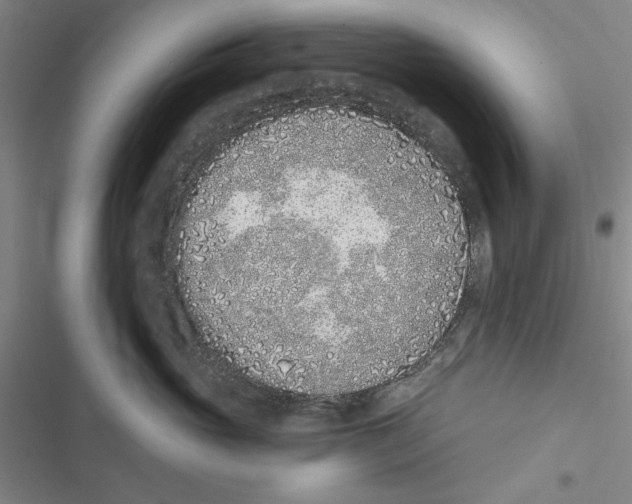 X0000116770765201001141450