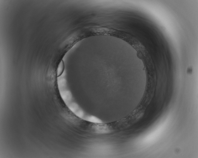 X0000116770767201001141450