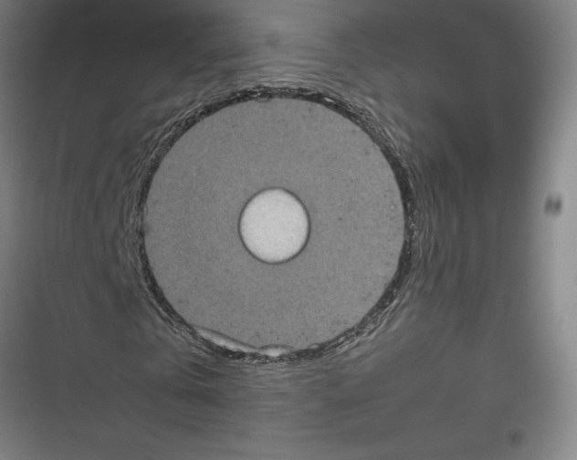 X0000116770769201001141450