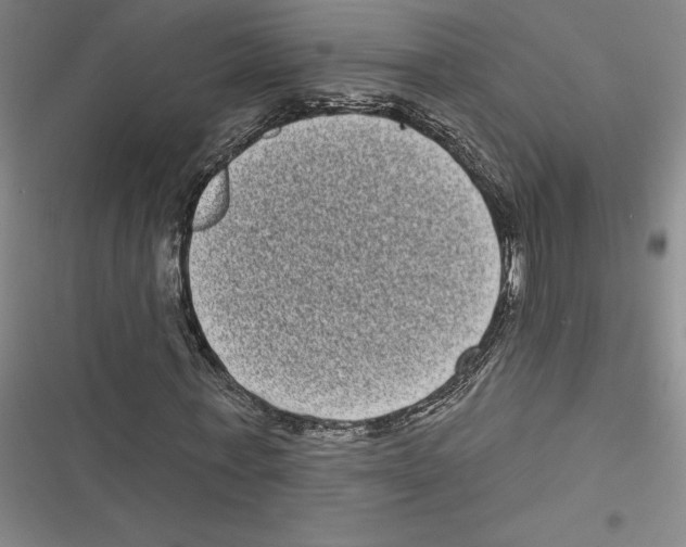 X0000116770771201001141450
