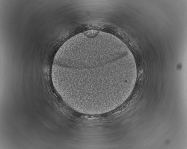 X0000116770772201001141450