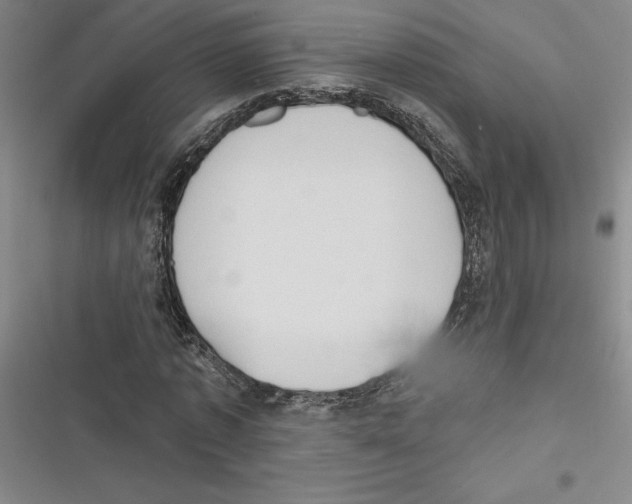X0000116770773201001141450