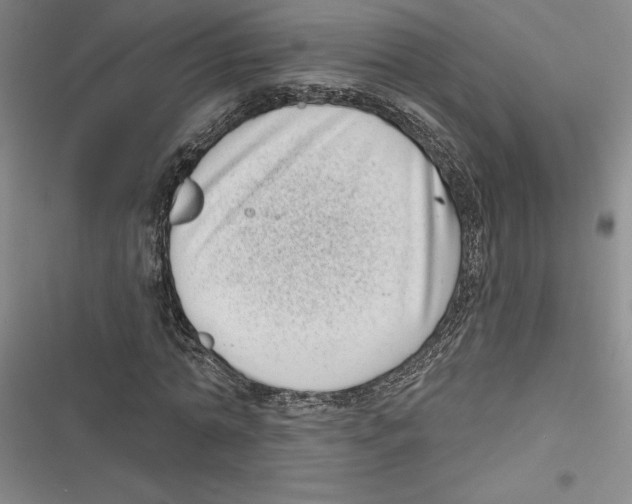 X0000116770774201001141450