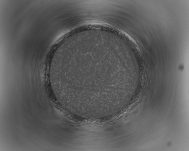 X0000116770775201001141450