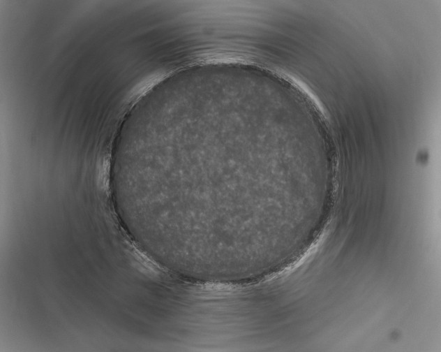 X0000116770777201001141450